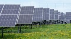 More solar farms on the way after record renewables auction